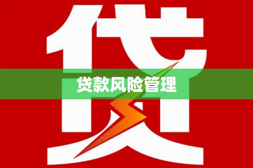广南贷款风险管理