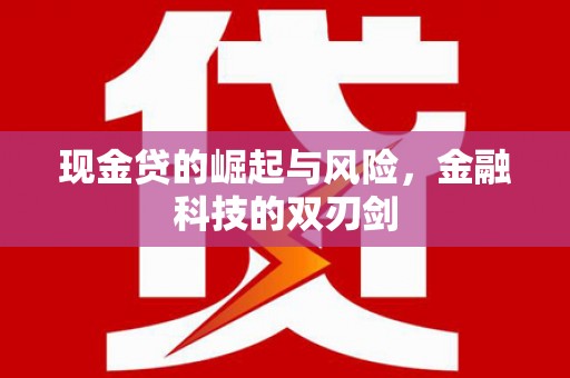 广南现金贷的崛起与风险，金融科技的双刃剑