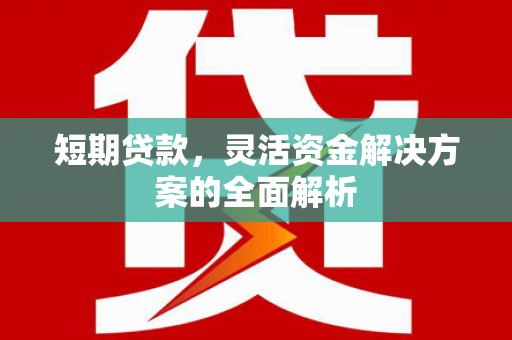 广南短期贷款，灵活资金解决方案的全面解析