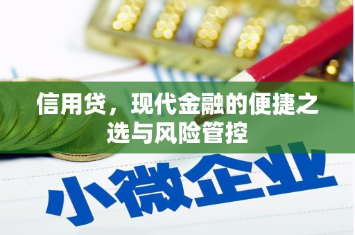 广南信用贷，现代金融的便捷之选与风险管控