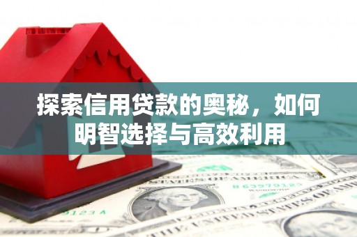 广南探索信用贷款的奥秘，如何明智选择与高效利用