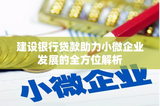广南建设银行贷款助力小微企业发展的全方位解析
