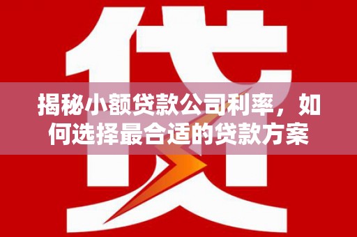 广南揭秘小额贷款公司利率，如何选择最合适的贷款方案