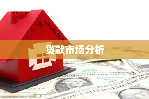 广南贷款市场分析