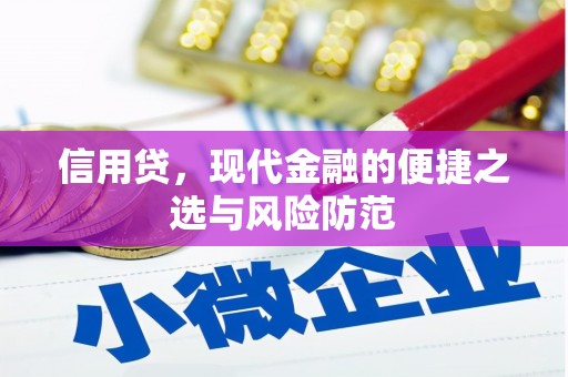 广南信用贷，现代金融的便捷之选与风险防范