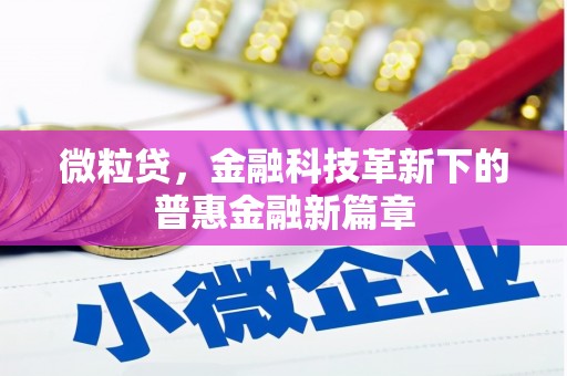 广南微粒贷，金融科技革新下的普惠金融新篇章