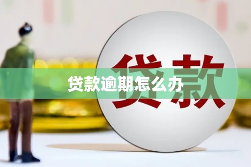 广南贷款逾期怎么办