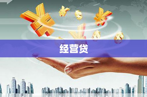 广南经营贷