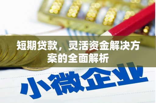 广南短期贷款，灵活资金解决方案的全面解析