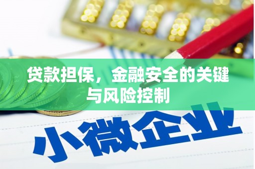 广南贷款担保，金融安全的关键与风险控制