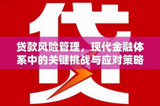 广南贷款风险管理，现代金融体系中的关键挑战与应对策略
