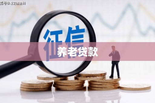 广南养老贷款