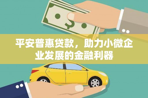 广南平安普惠贷款，助力小微企业发展的金融利器