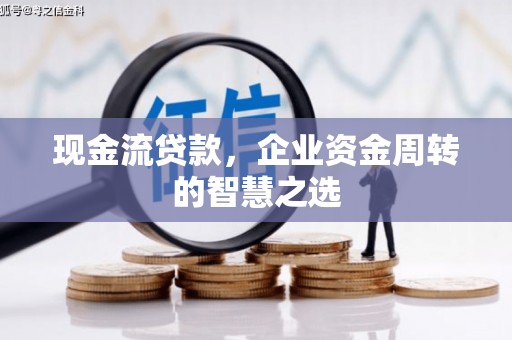 广南现金流贷款，企业资金周转的智慧之选