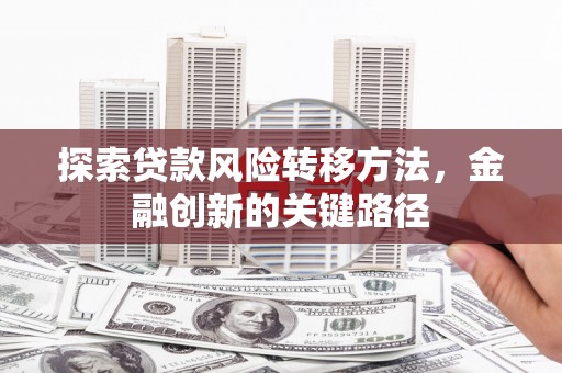 广南探索贷款风险转移方法，金融创新的关键路径