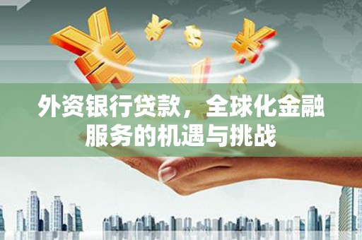 广南外资银行贷款，全球化金融服务的机遇与挑战