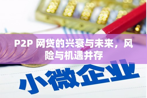 广南P2P 网贷的兴衰与未来，风险与机遇并存