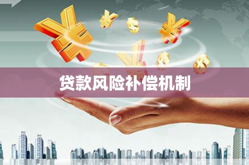 广南贷款风险补偿机制