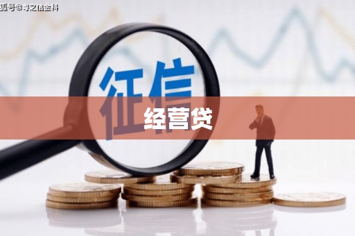 广南经营贷