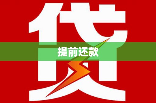 广南提前还款