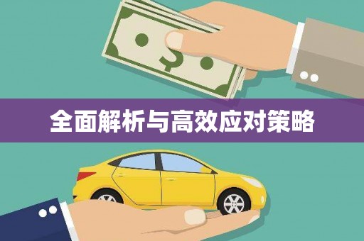广南全面解析与高效应对策略