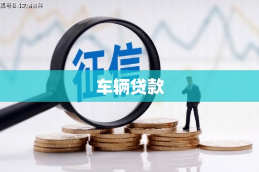 广南车辆贷款